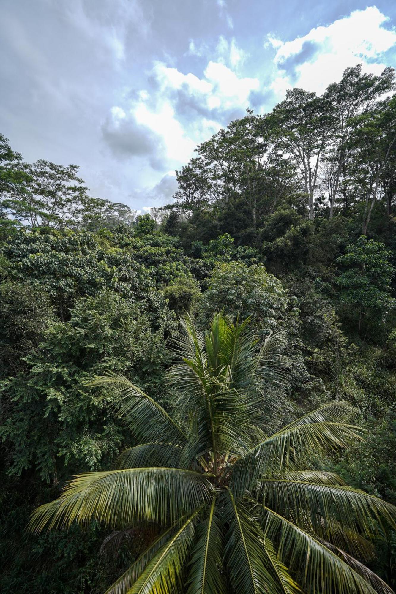 Hanthana House Kandy Luaran gambar